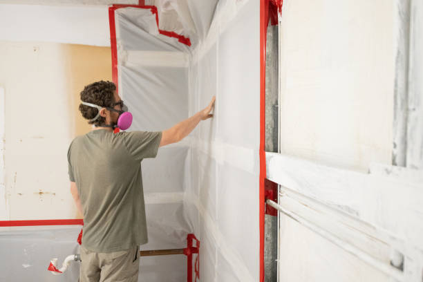 Best Air Quality Testing for Mold Spores  in Meiners Oaks, CA