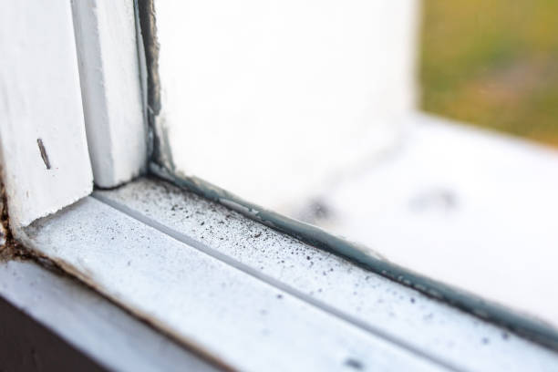 Best Mold Removal for HVAC Installations  in Meiners Oaks, CA