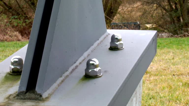 Best Airborne Mold Testing  in Meiners Oaks, CA